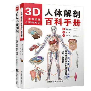 3D Энциклопедия анатомии человека Цветной Атлас анатомии человека Книги для взрослых Управление здоровьем Знания о человеческом теле