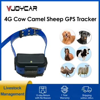 4G GPS-трекер для животных, Корова, Верблюд, овца, собака, GPS-локатор, длительное ожидание, Водонепроницаемый Голосовой монитор для управления животноводством, бесплатное приложение