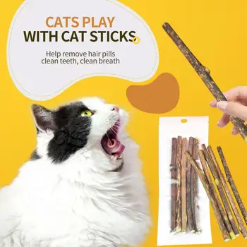 Catnip Alami Hewan Peliharaan Kucing Molar Pasta Gigi Tongkat Hewan Peliharaan Kucing Kucing Mengunyah Mainan Tongkat Buah