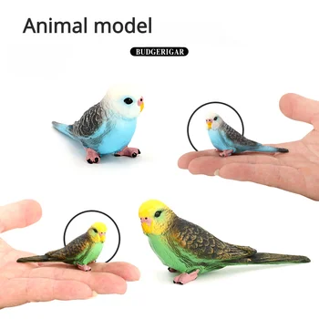 Имитация набора моделей диких животных Волнистые попугайчики Статические твердые Пластиковые игрушки для детей Аксессуары для украшения дома
