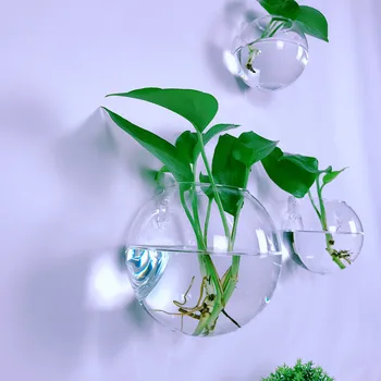 Настенная Гидропонная Ваза Стеклянный Сосуд Растение для Гидропонного творчества Настенный Сферический Цветочный Горшок для зеленых растений