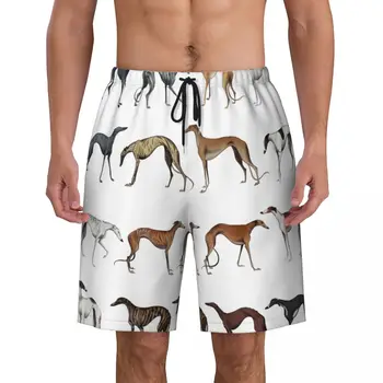 Симпатичные мужские плавки для собак породы Уиппет Сайтхаунд, купальники, Быстросохнущие пляжные шорты для плавания Greyhound Hound